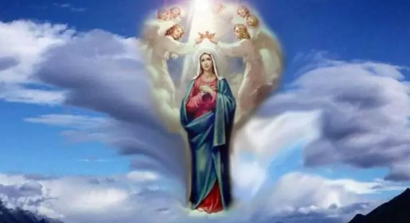 vergine maria salesiani don bosco