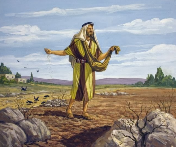 la parabola del seminatore