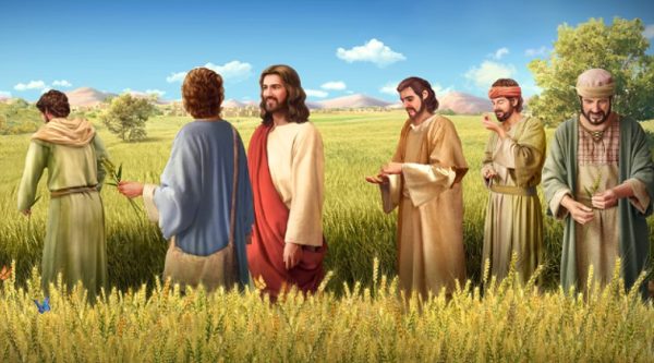 la parabola della zizzania