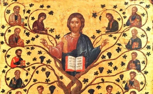 Gesù vite noi i tralci